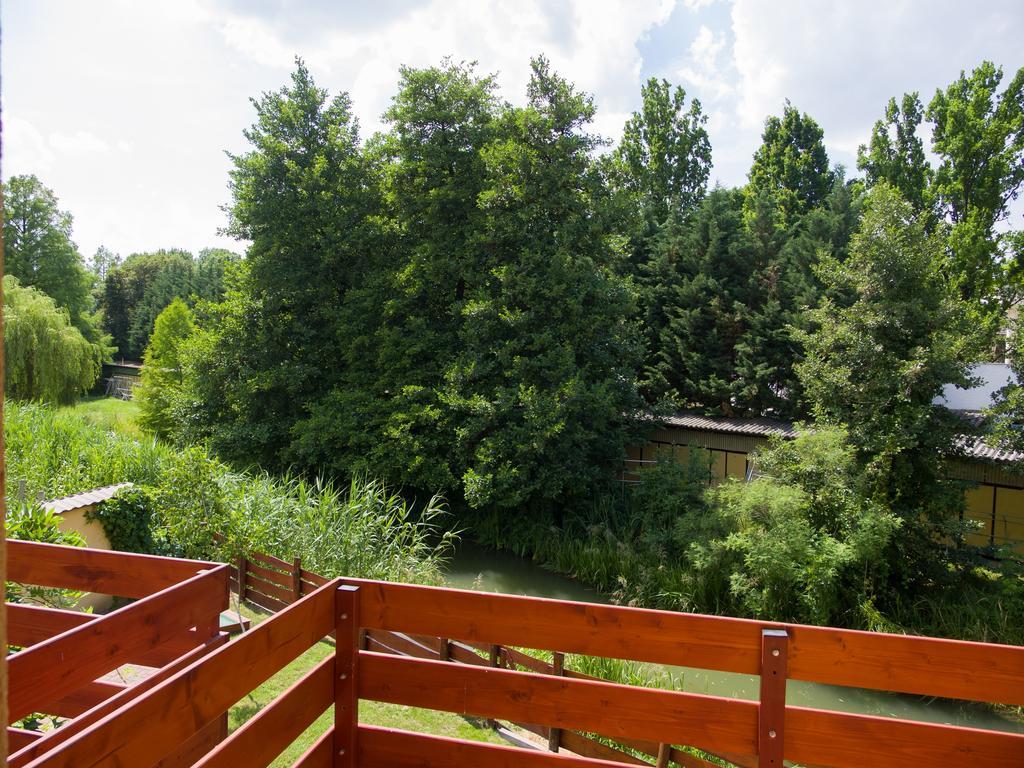 Aqua Apartman Gyula Rum bild